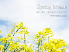 Spring breeze