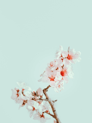 [GL] 첫사랑은 안 이뤄진대