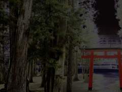 [니키린/히이린] 괴물들이 사는 마을