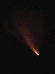 I have died everyday waiting for you