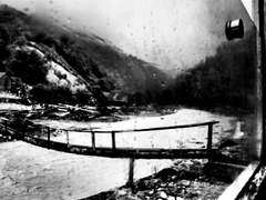 겨울만큼 간절한 외면이 있을까