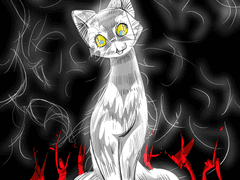 마녀의 고양이 애호 축제