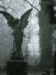 퇴폐적 낭만주의