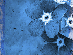 파도가 너를 모조리 먹어 치우기 전에