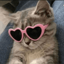 퍼고 ρꪊ𝕣ᧁꪮ