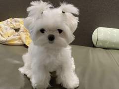 [NCT] 게이들이 좋아하는 여고생 +