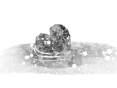 친구가 저를 피해요5 (完)