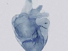 ERR_NAME_NOT_RESOLVED