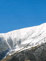닌자고 트위터 썰 백업