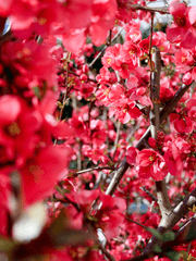 화산귀환 연성 모음