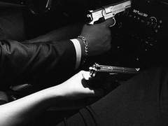 고양이는 새벽에 울지 않는다 1