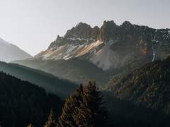 헛다리 전문 형사