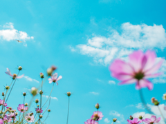 [종쪼] 얼레벌레 종수네에서 하루 자는 재석이(썰)