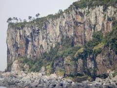 탐화봉접(探花蜂蝶)