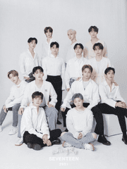 IF 내가 세븐틴 홍일점이라면?