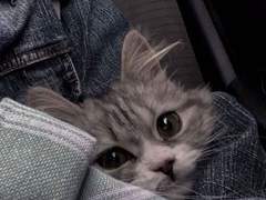 시티대 소소한 talk