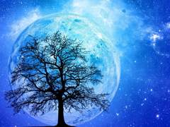 영원히 너만을 비춰줄게