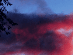 [스쿠이타] 잠 못 드는 낮에