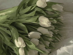 백야극광 캐릭터 편성 가이드