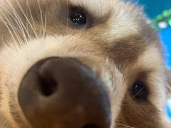 악인 18명의 문단속 6 전남친 결혼브륄레 대작전 (3)