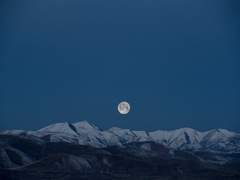 이상오티: 검계 살수와 수장 사이