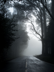 逐魔: 악귀 물리치기