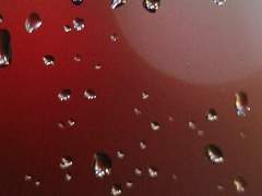 사랑을 원하는 것에 이유는 없어.