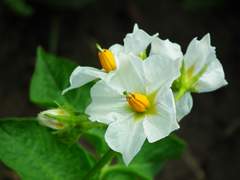 빛을 잃은 날에