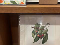 [햄터] 06/20 뭘 해도 잘 되는 사람