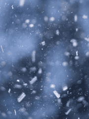 임시(백색소음)