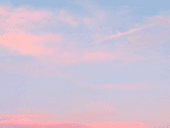 그날은 맑았습니다.