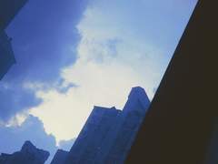 나의 희망에게.