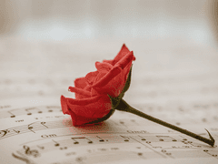 마음이 밀려오다