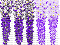 [클립스튜디오 소재 / 브러쉬 / PNG 파일] 식물_등나무 (꽃_적보라)