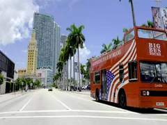 마이애미 관광 투어