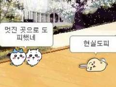 트위터 계정 알려드립니다.