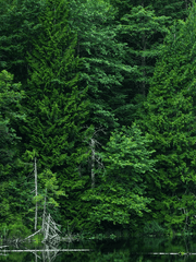 [on:sage] Sincerely, SAGE