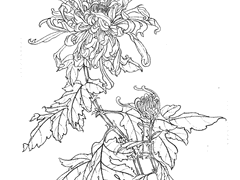 인간은 무엇으로 살아가는가