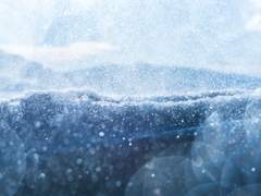 25 디자인 커미션