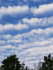 다이케이 화해물