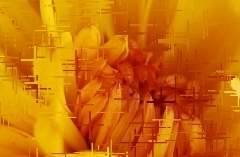 Thanks you everybody