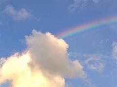 그럼에도 여름은 돌아온다