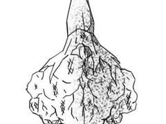 도도새 유니버스 단편선