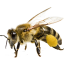 방구석배운변태