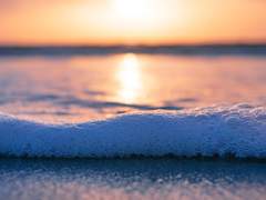 [우성태웅] 인어에 대한 고찰