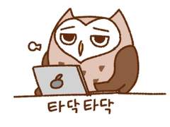 도시부엉의 하루