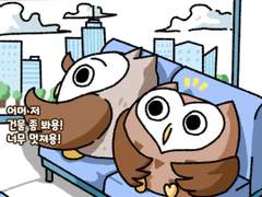 도시부엉은 왜 이름이 도시부엉일까?