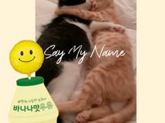 너에게 쓰는 편지 2