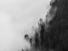 [청명소병] 그리도 애달파 下