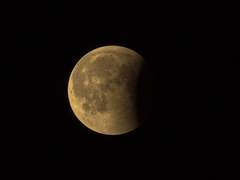 [나는 오늘도 불에 삼켜졌소]